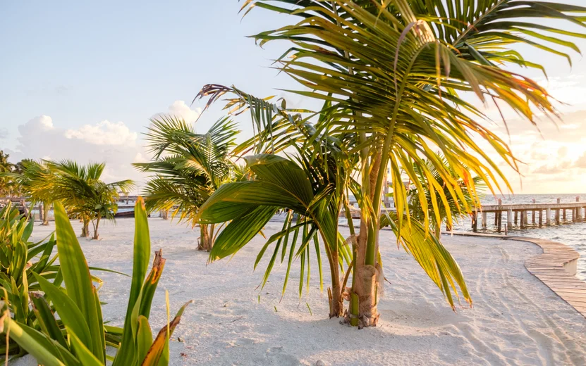Caye Caulker